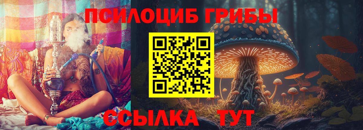 Галлюциногенные грибы MAGIC MUSHROOMS  Вход с VPN  Галлюциногенные грибы прущие грибы  Ижевск 